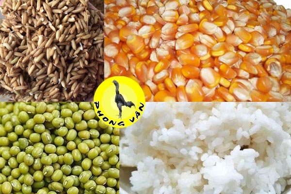 Thức Ăn Đặc Biệt Cho Giai Đoạn Thi Đấu